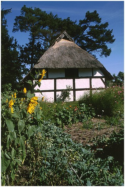 Skansen_w_Klukach4.jpg