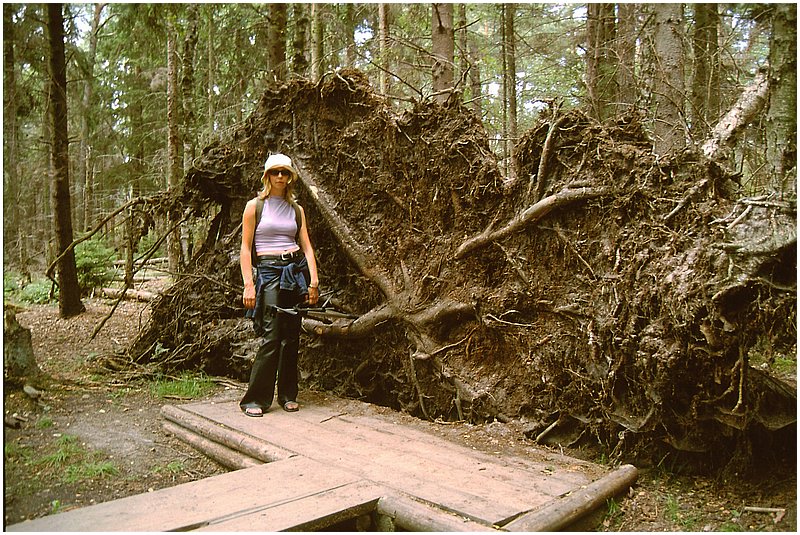 Slowinski_Park_Narodowy1.jpg